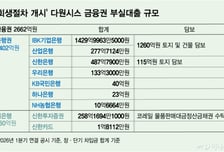 '생산적 금융'의 함정… 은행돈 2400억, 다원시스에 물렸다