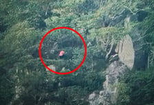 '출입 금지' 제주 산방산 절벽 고립 관광객...'SOS 이메일' 극적 구조
