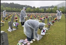 [사진] 한국수목원정원관리원, 대전현충원서 '태극기 꽂기' 봉사활동