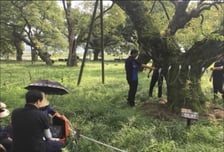 전국 보호수 점검 '나무병원'이 전담한다…전문·체계성↑
