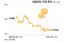 美 금리발작에 비트코인 '기절'…8만달러선 반납