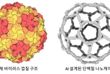 노벨상 수상자와 '자연계 모방' AI 인공 단백질 만든 韓 과학자