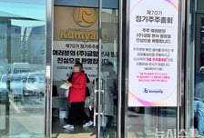 한때 '이차전지 대장주' 금양의 몰락…거래소, 상장폐지 결정