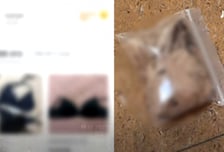 "오피스텔서 입던 속옷 팔아" 남자 들락날락...20대女 "불법 아냐" 당당