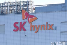"하이닉스 다니는데 왜"…결혼 2년차 '신혼 이혼' 사연에 직장인들 술렁