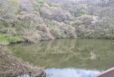 물찻오름습지, 제주도 제 1호 습지보호지역 지정 추진