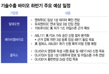 K바이오 반등 열쇠는 '성과 고도화'…빅딜 후속 성과 하반기 줄대기