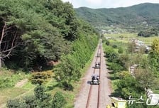 '16명 부상' 보름 만에 또 추돌사고…하동 레일바이크 타던 70대 사망