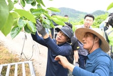 경남도의회 봄철 농촌일손돕기 구슬땀
