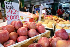서울시, 2030년까지 아동센터에 주2회 재철과일 지원