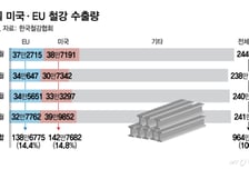 美 이어 EU도 철강관세 50%로 상향… 한국산 수출 '먹구름'