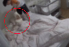 아기 옆에 토한 흔적..."9살 아들 친구 짓" 홈캠영상 충격, 처벌도 못해 [영상]
