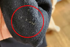 세탁 맡긴 코트에 고춧가루까지 그대로?…"안 빨고 보냈나" 논란