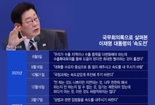 "일벌레 대통령 왔다" 속도, 또 속도...주말도 반납, 관가도 '불야성'