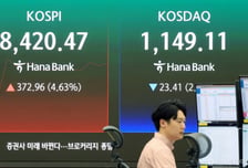 삼전닉스 레버리지 오픈런...불 뿜는 코스피 '매수 사이드카'
