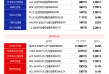 똑같은 2배에도 수익률 차이?...삼전·닉스 레버리지 감별법