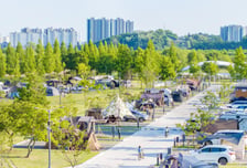 구미시, 낙동강 제2캠핑장 "주말 예약률 89%"…'캠핑 성지' 급부상