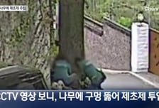 "100년 넘은 은행나무에 제초제"…나무 죽이려 한 환기미술관