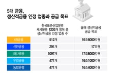 [단독]제각각 생산적금융 기준…금감원, 5대 지주 살핀다
