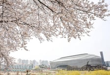 [오피셜] '충격' 초유의 갑질 논란 사태→현장 사령탑이 직접 입 열다 "정신력 강화, 강한 메시지 주려고 했는데..." 서울시설공단 공식입장 들어보니...