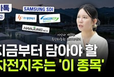 "2차전지 랠리 지금부터 시작" 삼전닉스 쉬면 무섭게 오른다?[부꾸미]