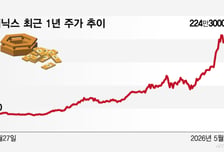 "늦게라도 올라탈 걸" 삼전닉스 질주에 '입이 떡'...신고가 행진