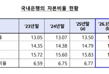 기업대출·환율에 떨어진 은행 자본비율…"규제선은 크게 웃돌아"