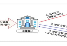 노쇼사기·로맨스스캠·투자사기 '신종피싱', 즉시 계좌정지 된다
