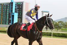 렛츠런파크 부산경남 31일 '투혼의 반석' 은퇴식