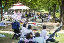 이번 주말 '낮 최고 33도' 무더위…"태풍 '장미' 국내 영향 없을 듯"