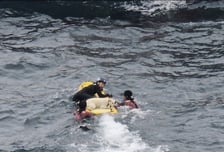 "물리고 긁혀도 끝까지 안았다"…50m 절벽 추락한 반려견 구조