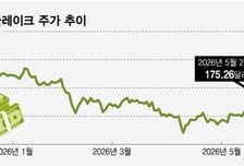 깜짝 실적+아마존 후광… 스노우플레이크 '불기둥'