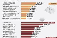 [ETF 500조 시대] 주도주 맛보고 리스크 대비까지… 부담 없이 골라 담는다