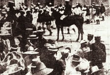 정부, 6·10만세운동 유공자 13명 추가…100주년 맞아 재평가