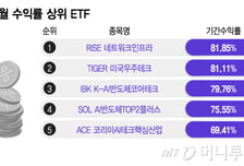 "삼전닉스만 봤다가 후회"...'이 종목' 담은 ETF, 한달 최고 수익률 81%