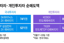 "국장서 두배 삼전·닉스 사자"…홍콩 간 개미들 돈 돌아온다