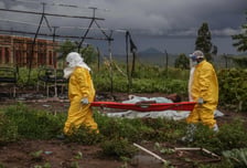 콩고 에볼라 확진자 중 첫 완치자 나와…감염 땐 최대 절반 사망
