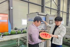 쿠팡, AI 선별 시스템 확대…당도·신선도 높은 과일도 새벽배송