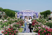 지금이 가장 예쁠 때…에버랜드 "장미축제, 이번주 절정"