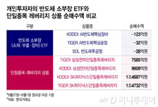 반도체 ETF도 양극화…'AI 수혜' 여부에 개인투자자 선택 갈렸다