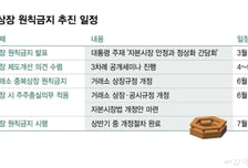 중복상장 원칙금지 이번주 윤곽… 예외기준 핵심은 주주보호
