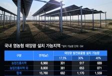 쌀 나는 논에서 '산업의 쌀' 키울 전기 수확…삼전 RE100 해법 찾았다