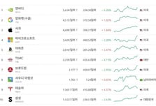 "장중 9위 테슬라도 제쳐"...삼성전자 시총, 첫 세계 10위권