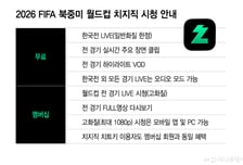 "돈 안 내면 일반화질" 네이버 치지직, 월드컵 기회로 '수익화' 시도