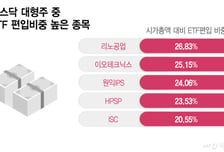ETF, 개별 종목 수급 영향 커졌다…시총 25% 이상인 종목도
