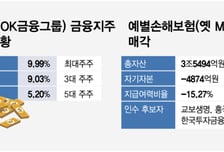 OK저축은행, 업권 첫 손보사 인수 도전