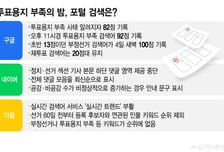 새벽 2시 '부정선거' 구글 검색 폭등…네이버·다음은 조용