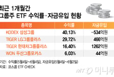 한달새 40% 오른 삼성그룹 ETF, 자금은 덜 오른 '여기' 몰렸다