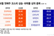 '브로드컴 쇼크'…삼전닉스 비명 터질때 이 주식은 환호성 터졌다[김근희의 증시 랩업]