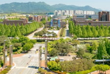 'AI 대학' 문여는 4대 과기원… 커리큘럼 차별화가 관건